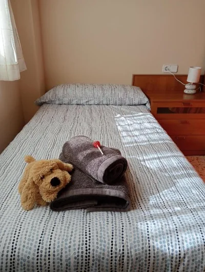 Apartamento-Casa turística l'Espígol — foto 12