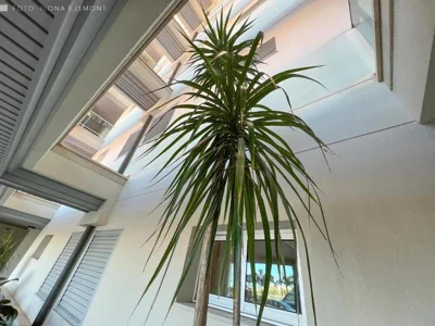 Apartamento Isla Feliz — foto 10