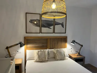 Apartamento Plaza San Francisco — foto 7