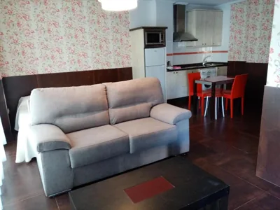 Apartamentos Astilleros — photo 4