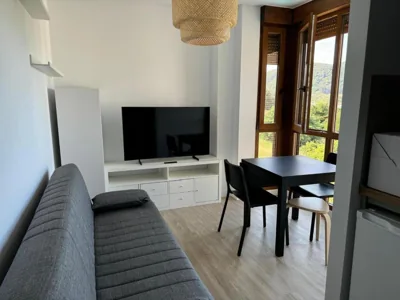 Apartamentos Boutique Don Miguel — Foto 6