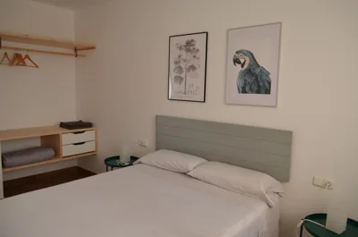 Apartamentos Cala San Pedro — photo 8