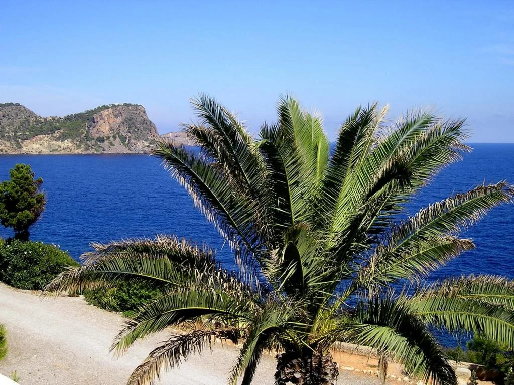 Appartamento con 2 camere da letto e vista sul mare — Apartamentos Club Cala Azul