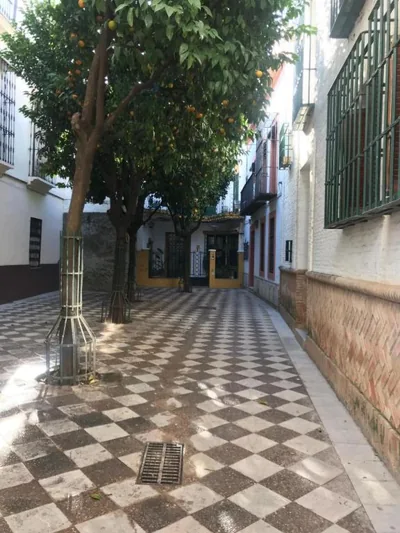 Apartamentos Flamenco B&B — photo 5