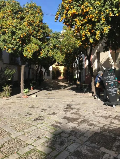 Apartamentos Flamenco B&B — photo 8
