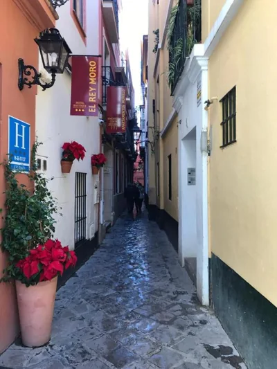 Apartamentos Flamenco B&B — photo 10