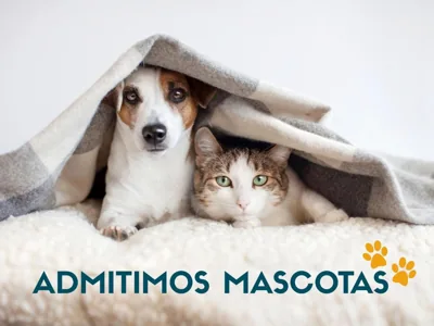 Apartamentos La casa del Zapatero — foto 7