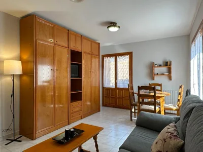 Apartamentos Lausan — Foto 4