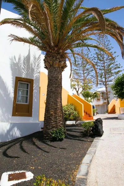 Apartamentos LIVVO Morromar — foto 11