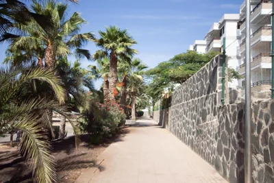 Apartamentos LIVVO Tarahal — 写真 12