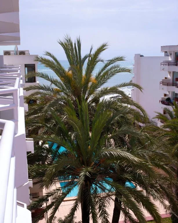 Superior-Apartment mit Gartenblick — Apartamentos Llobet Ibiza
