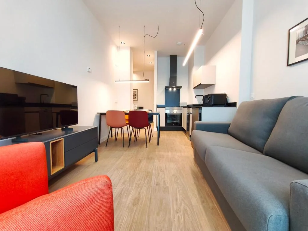 One-Bedroom Apartment — Apartamentos Mantería Lacort, Valladolid
