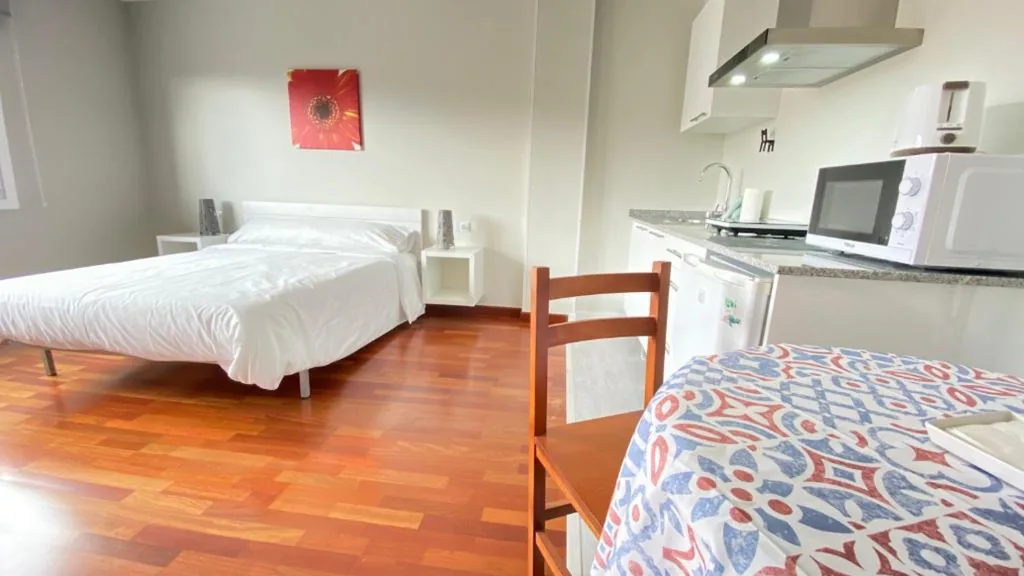 Studio-Apartment — Apartamentos Pantón Ribeira Sacra