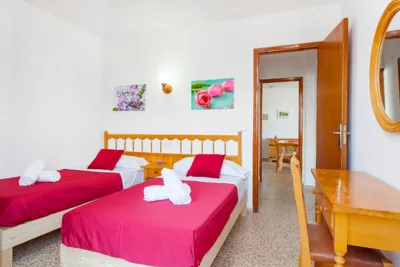 Apartamentos Puet — photo 9
