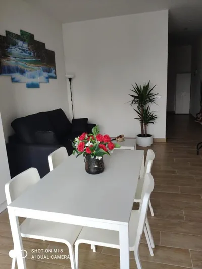 Apartamentos Silgar Plaza — photo 11