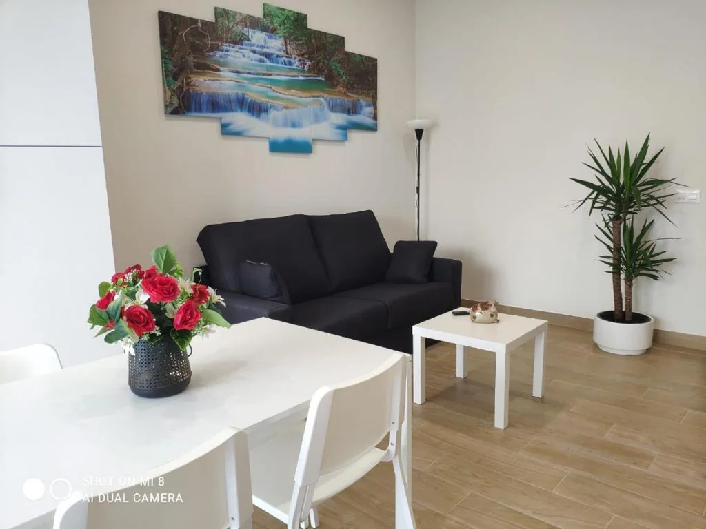 Studio avec terrasse — Apartamentos Silgar Plaza