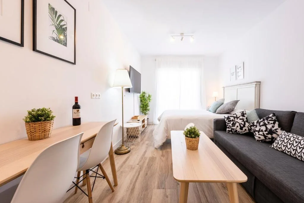 Studio — Apartamentos Toboso Plaza