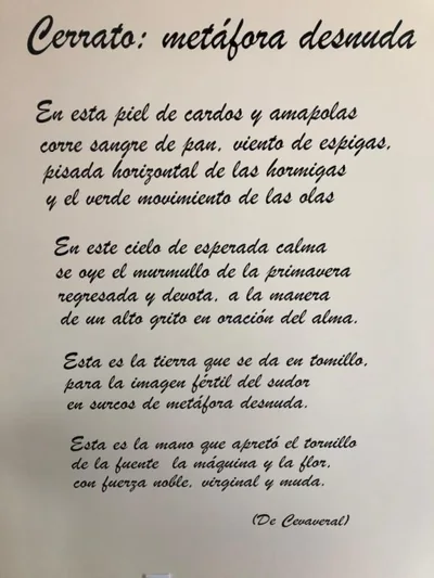 Apartamentos Turísticos ESCORRALADAS — foto 12