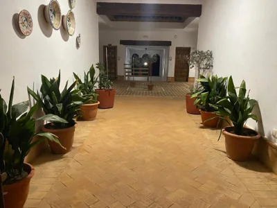 Apartamentos Turísticos - Hostal Los Alisos — Foto 8