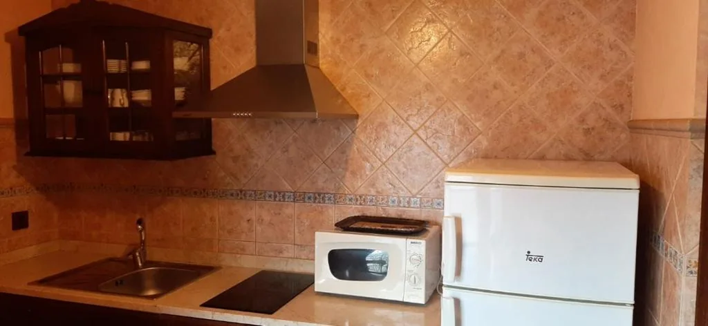 Apartamento Standard com 1 quarto — APARTAMENTOS TURÍSTICOS Y SUITES