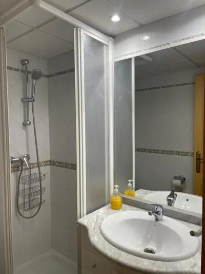 Apartamentos Villa de Ainsa — foto 8