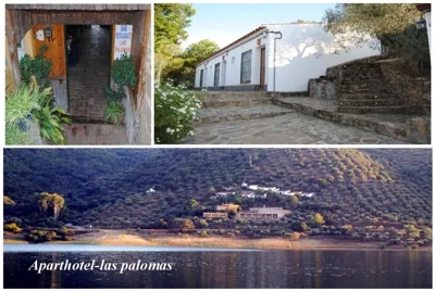 Aparthotel Las Palomas — photo 10