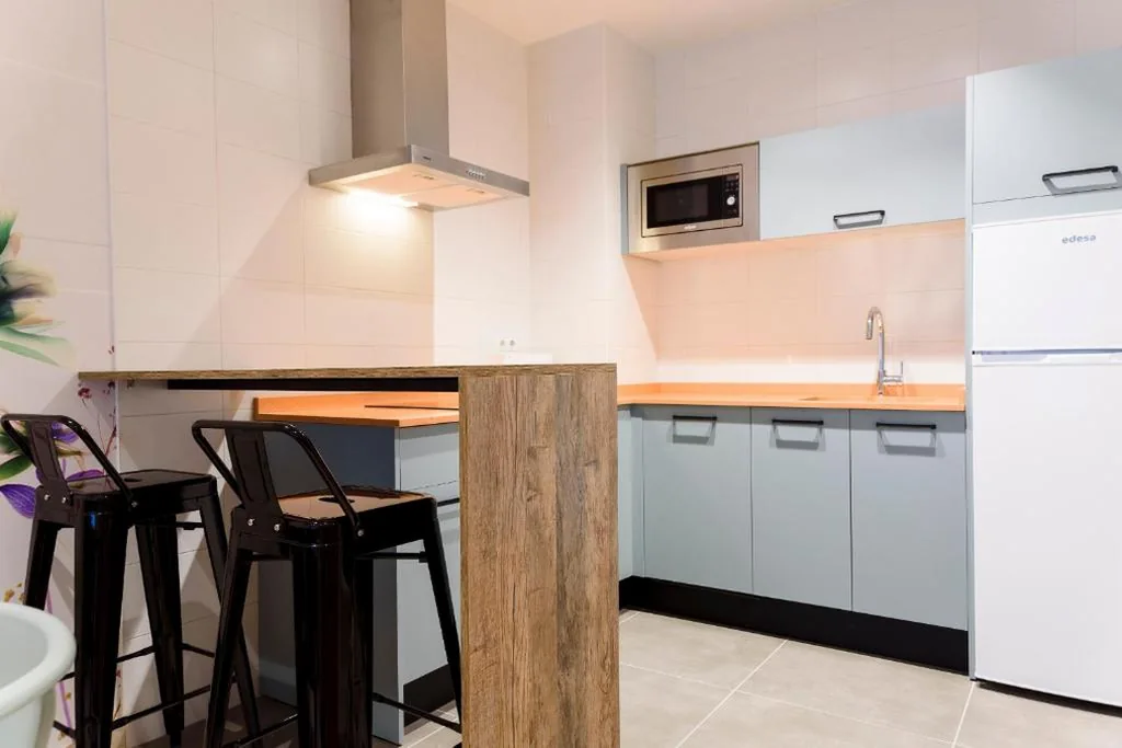Apartment mit 1 Schlafzimmer — APARTHOTEL SALBURUA