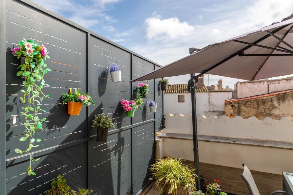 Apartments BICO DE RODAS a Rural Luxury