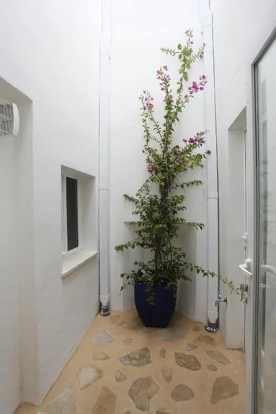 APLUS Apartamentos, Old Town Benidorm — foto 3