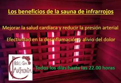 Artmonia — Foto 5
