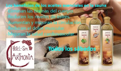 Artmonia — Foto 6