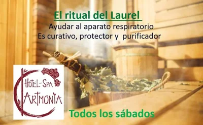 Artmonia — Foto 8