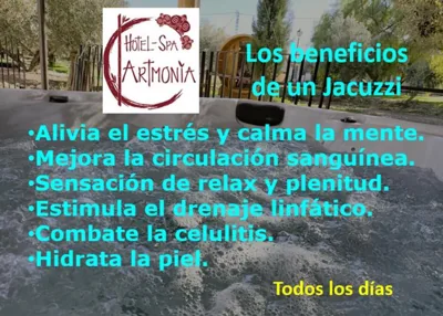 Artmonia — Foto 9