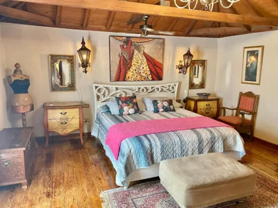 Authentic Canary Style Villa with private pool and garden- Casa Juan Vera — foto 2