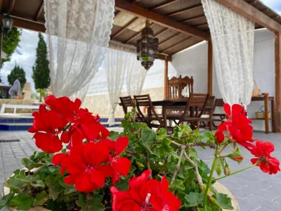 Authentic Canary Style Villa with private pool and garden- Casa Juan Vera — foto 8
