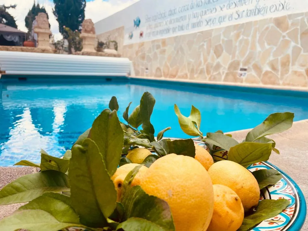 Casa con 4 camere da letto — Authentic Canary Style Villa with private pool and garden- Casa Juan Vera