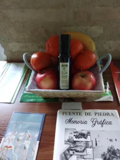 B&B Carmelina & Frasquito — foto 12