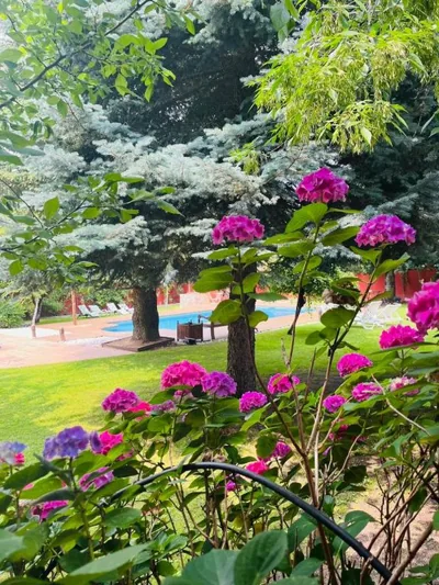 B&B Concha — Foto 11