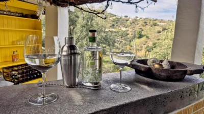 B&B Finca Conchales — foto 5
