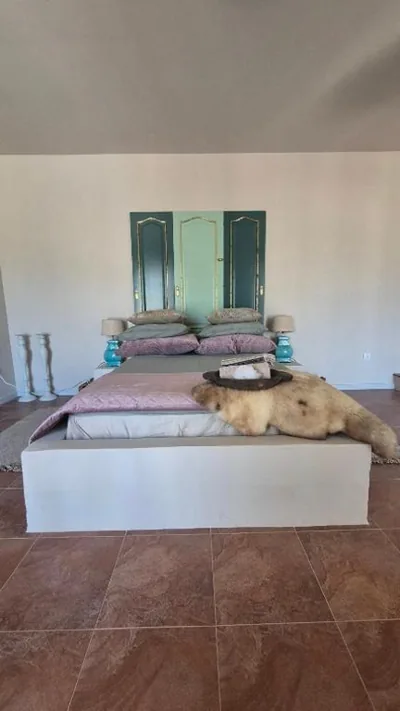 B&B Finca Conchales — foto 11