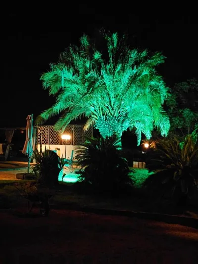 B&B Finca la Yuca "Un paraíso en Ontinyent" — foto 4