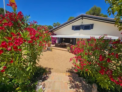 B&B Finca la Yuca "Un paraíso en Ontinyent" — foto 11