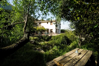 Bajo El Cejo — photo 12
