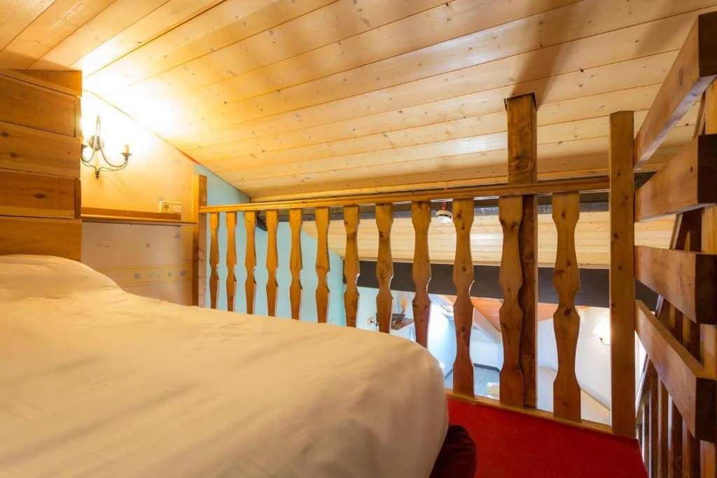 屋根裏アパートメント — Balcon del Pirineo Rural Ordesa