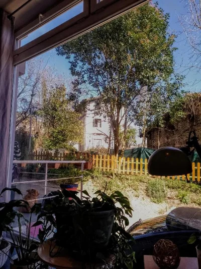 Balea Hostel — foto 6