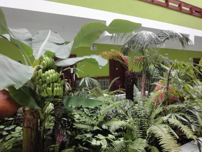 Balneario Pozo de la Salud — foto 10