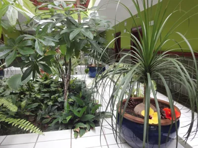 Balneario Pozo de la Salud — foto 11