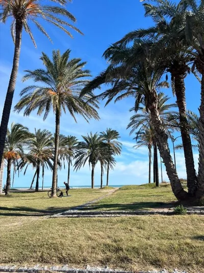 Banana Beach Patacona Rooms — photo 7