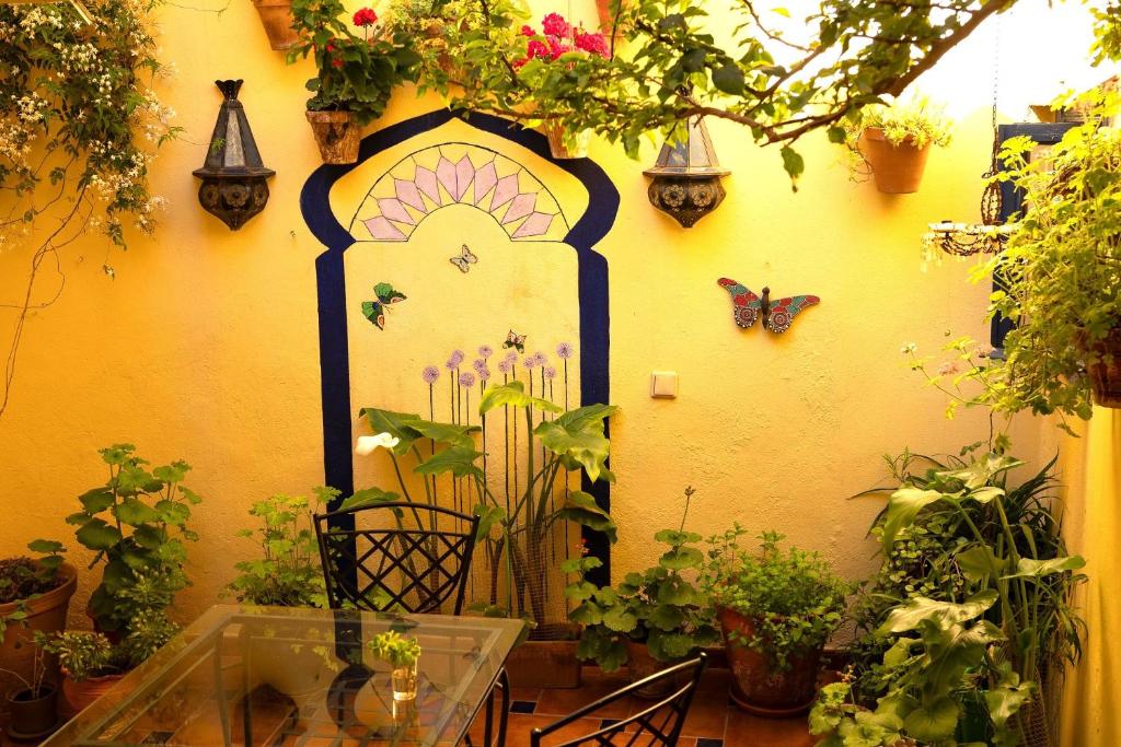 Baraka Boutique Pensión