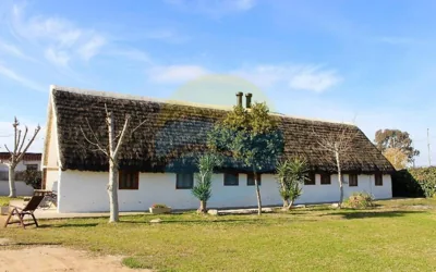 Barraca típica del Delta, con piscina, jardín y barbacoa - Deltavacaciones — foto 10